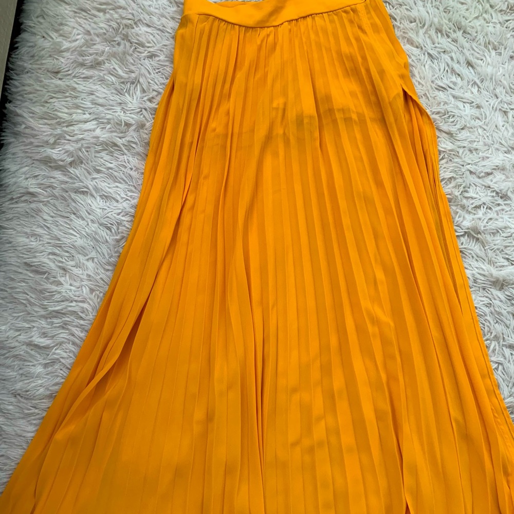 Pleated sheer high waisted skirt